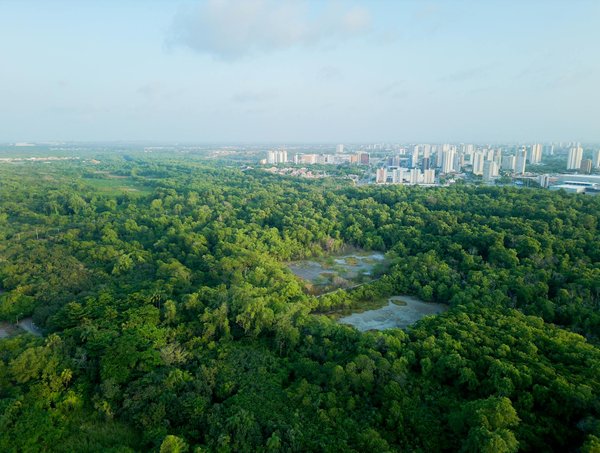 Découvrir le plaisir de la chasteté : fantasmes et choix